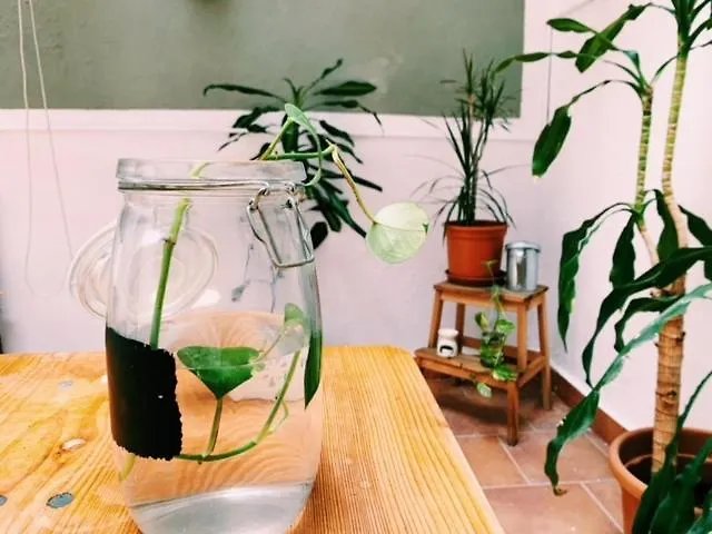 Homestay Maria Magdalena - Room 5 Malaga