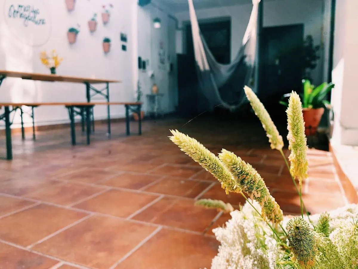 Maria Magdalena - Room 5 Malaga
